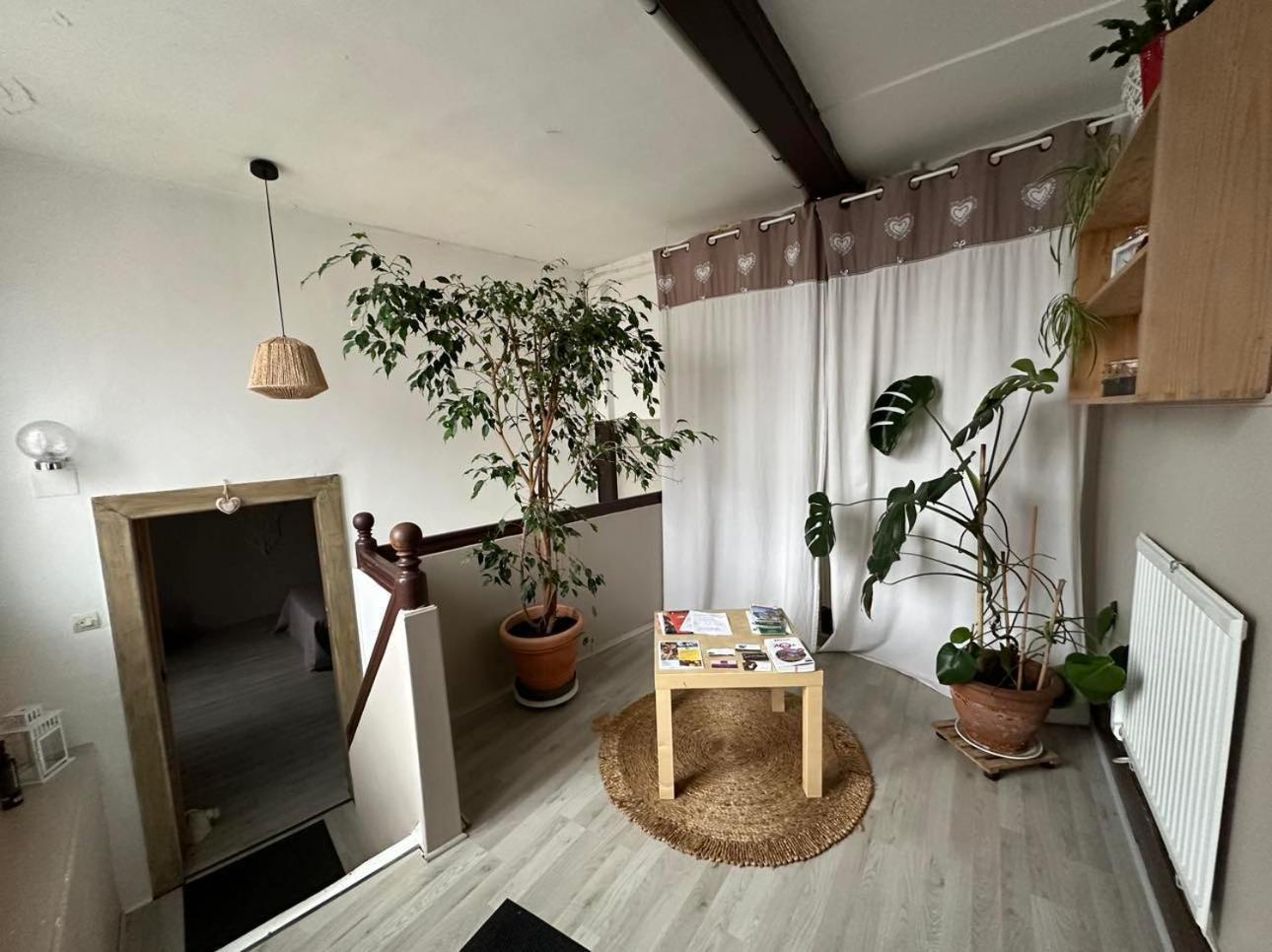 Gite Au Giessen - 1Er Etage Biesheim Luaran gambar